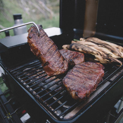 Traeger Ranger Portable Wood Pellet Grill Smoker